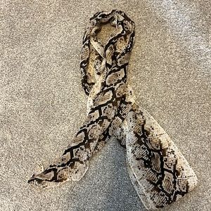 WHBM silk scarf
